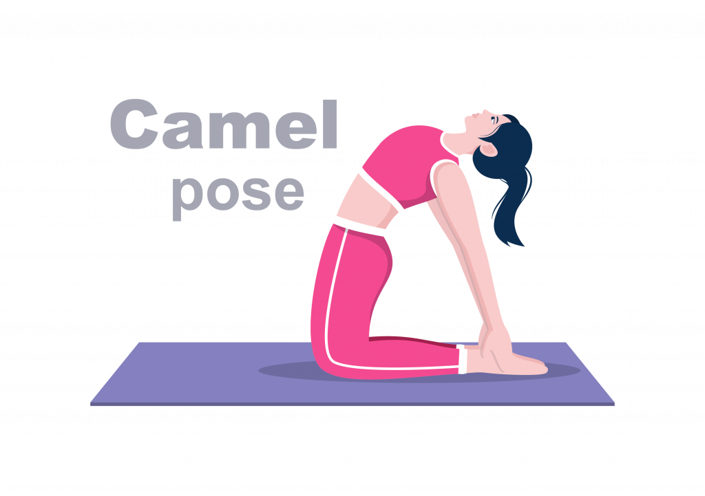 Camel Pose