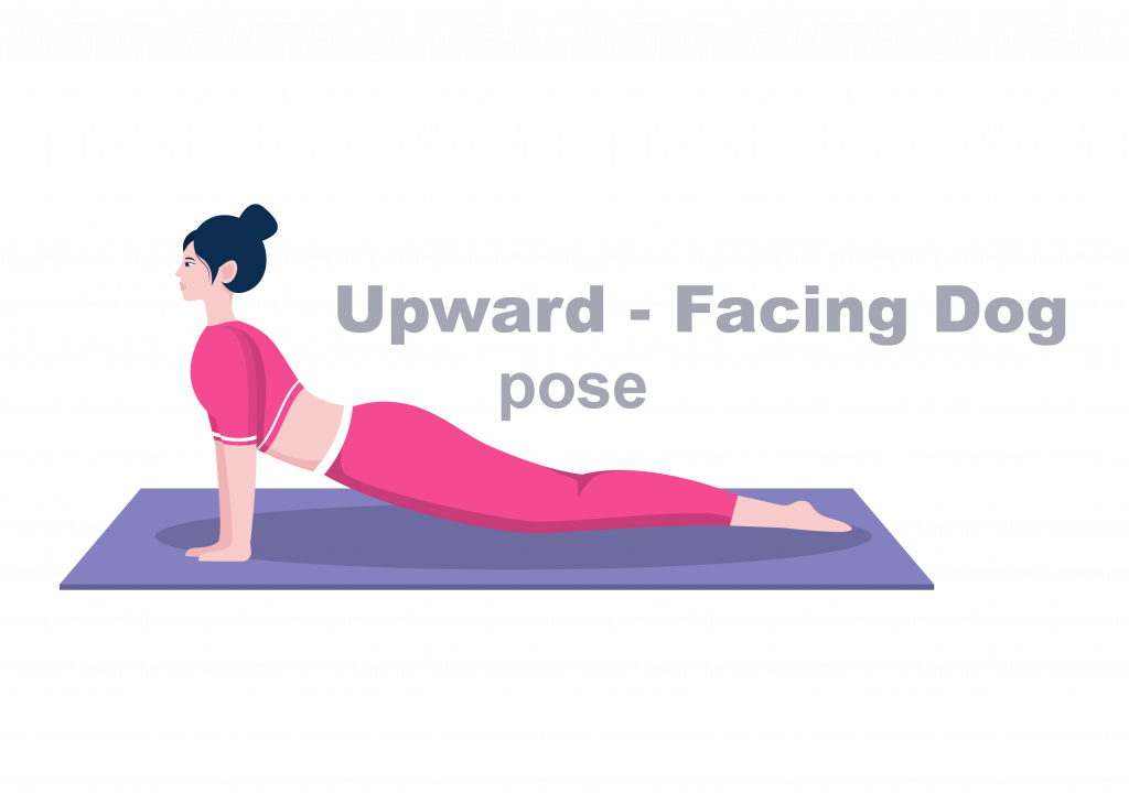 Upward Facing Dog Pose