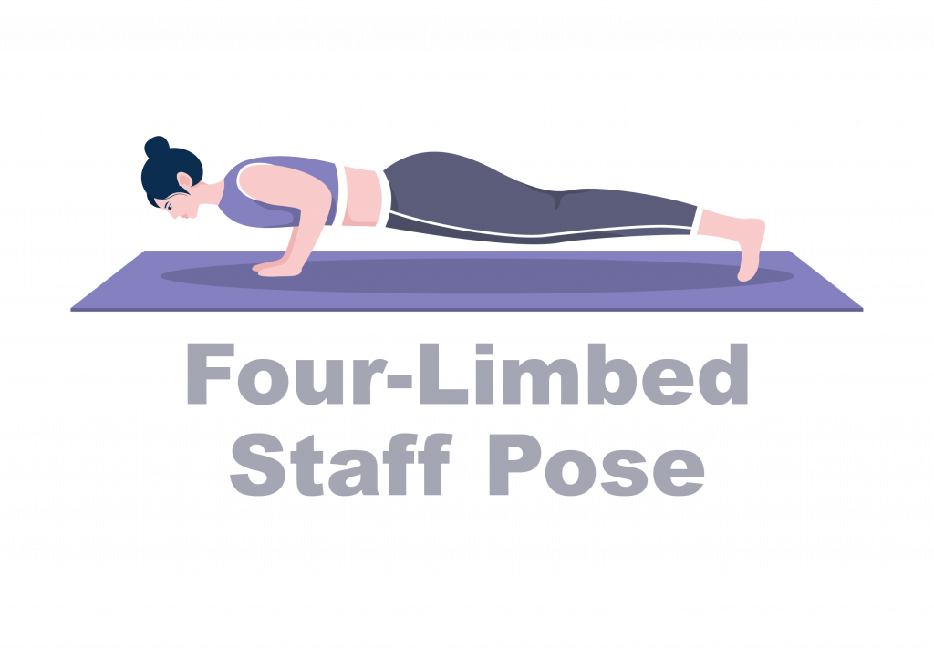 Four Limbed Staff Pose