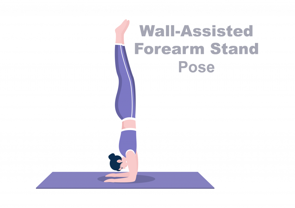 Wall Assisted Forearm Stand Pose